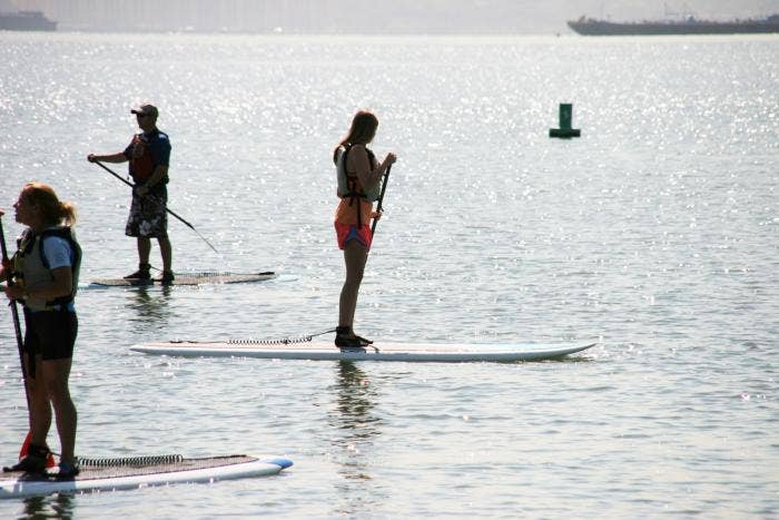 Kami mencobanya: Paddleboarding | Berita Rubah