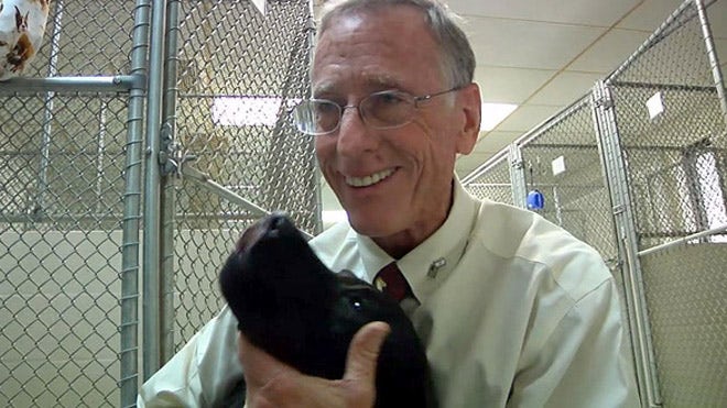 Dog gets stay of execution after Florida judge strikes down dog-bite ...