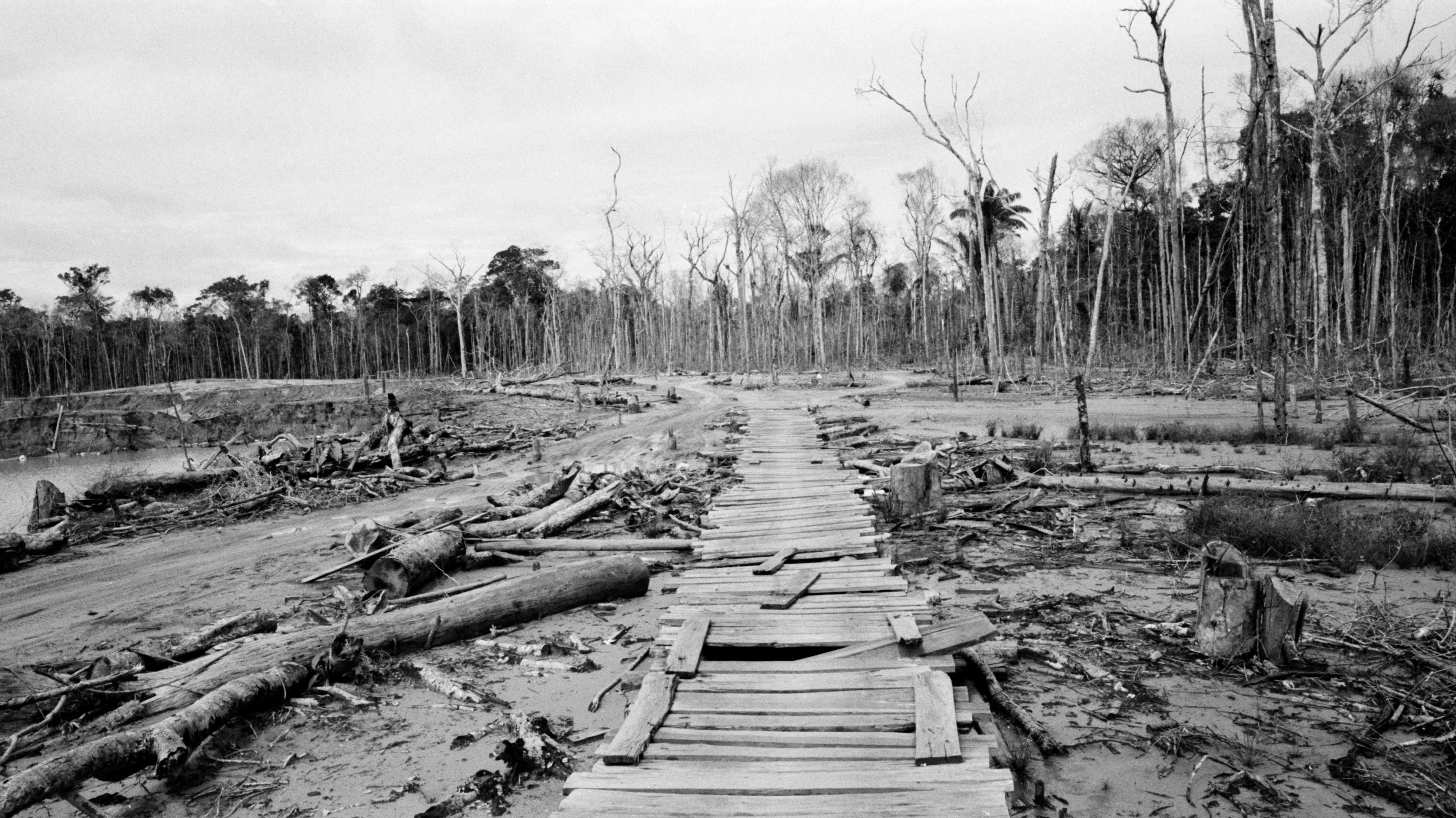 Illegal gold mining ravaging Peruvian rainforest | Fox News