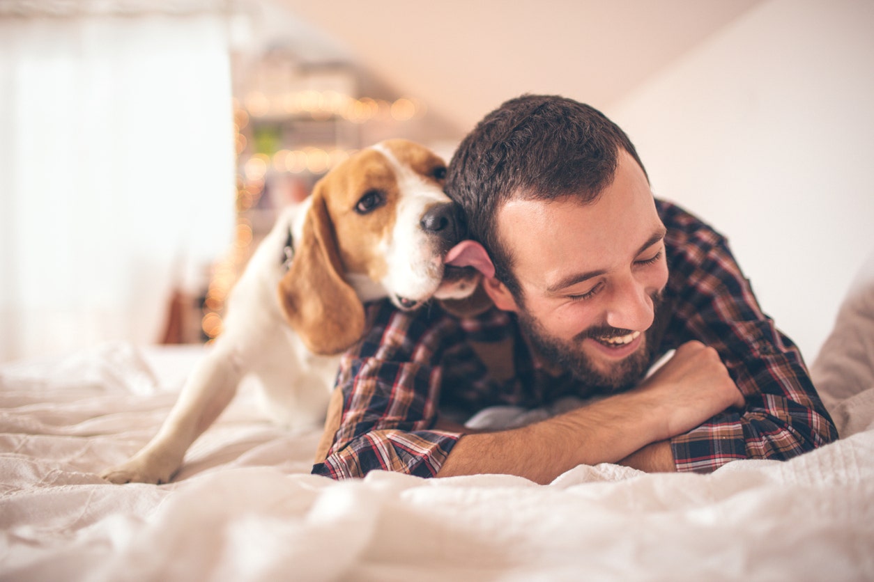 Les chiens pleurent de joie lorsqu’ils retrouvent leurs maîtres : une nouvelle étude