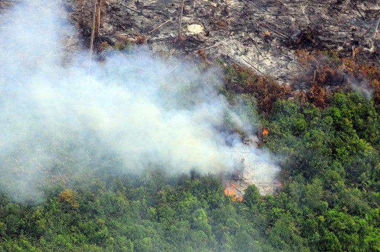 Indonesia akan meratifikasi perjanjian kabut asap pada awal tahun 2014