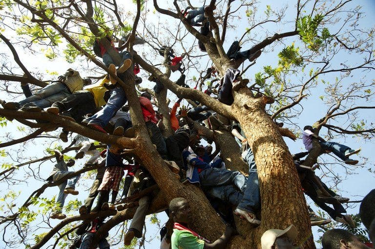 Zimbabwe pergi ke tempat pemungutan suara dalam pemilihan presiden yang menegangkan