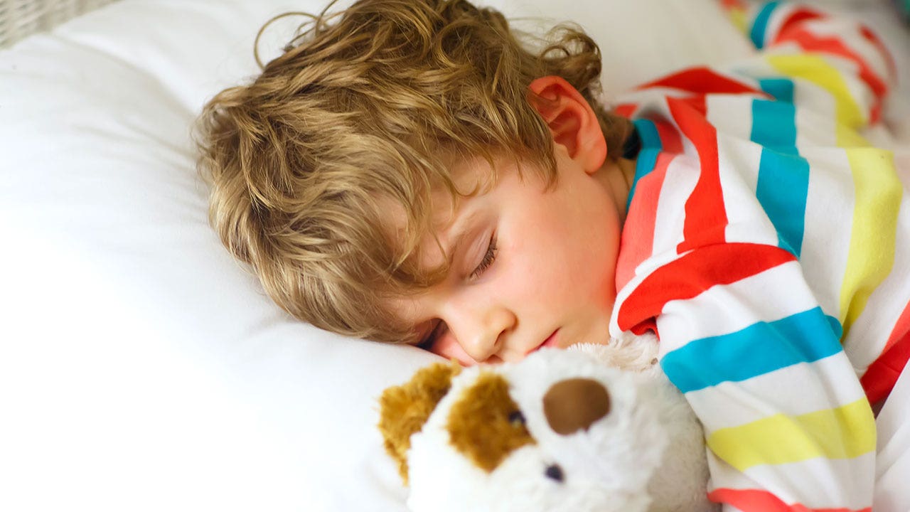 Dinosaur pillowcase ships out exactly as advertised — and that’s the