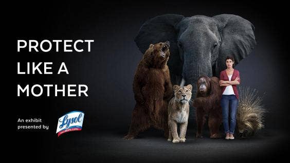 Lysol celebrates moms with 'Protect Like a Mother' exhibition | Fox News