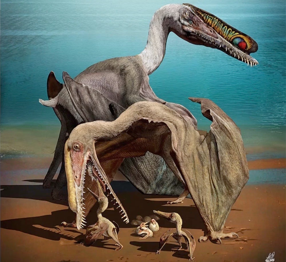 Remarkable Discovery Shows Fossilized Pterosaur Eggs With Perfectly 
