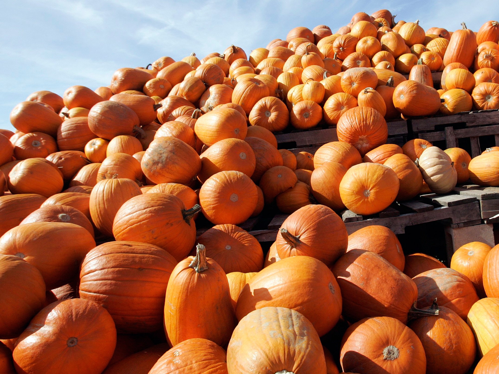 Pumpkin spice is 'everywhere,' and now it can be in your kitchen, too