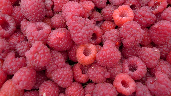 Raspberry ketone: Be wary of this diet trend