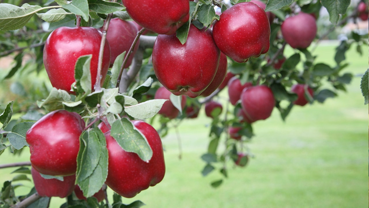 The Red Delicious Era is Over—THIS is America's New Favorite Apple