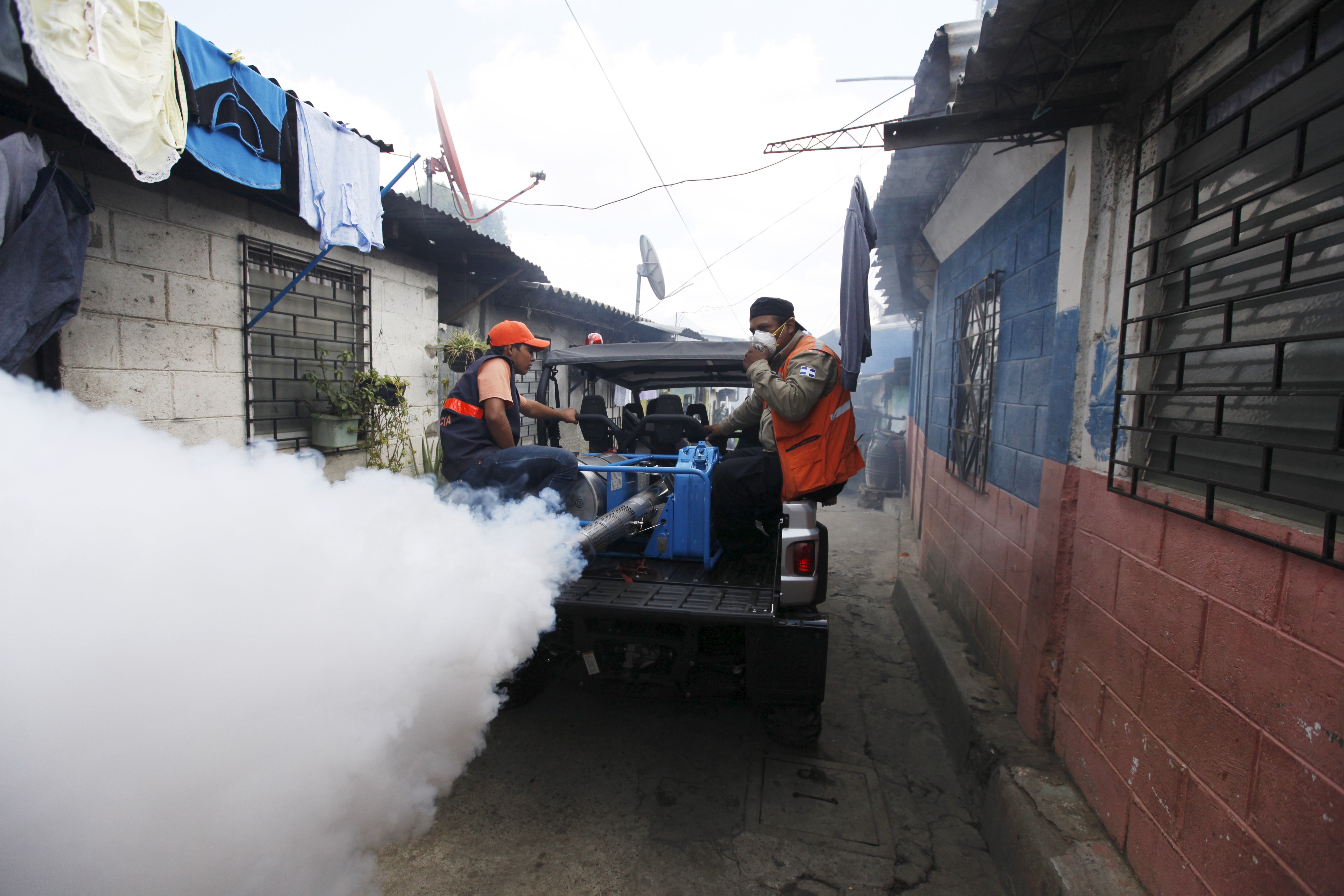 Pakar nyamuk: Washington meremehkan ancaman virus Zika terhadap AS
