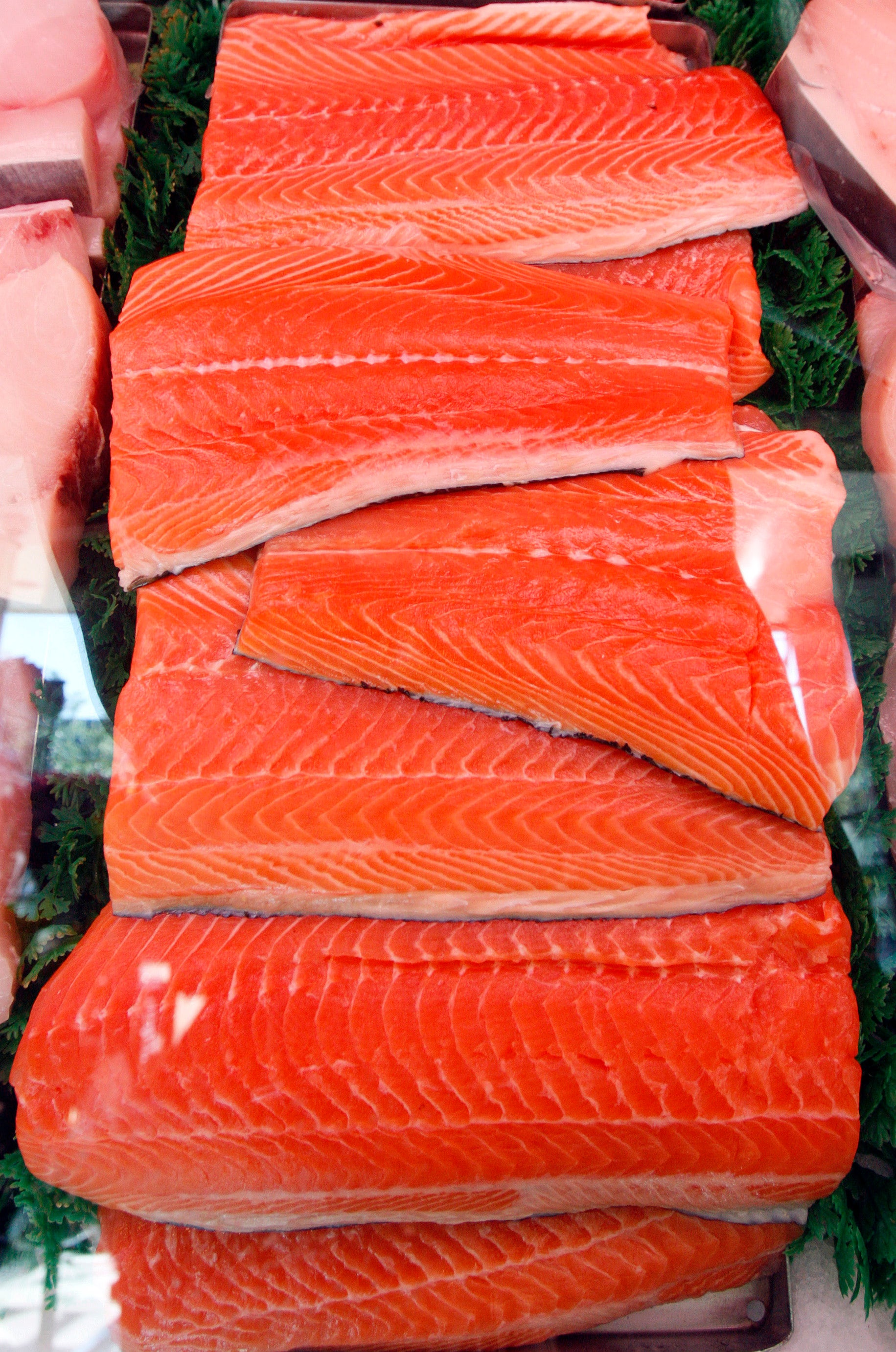 Fda Approves First Genetically Modified Salmon For Consumption Fox News