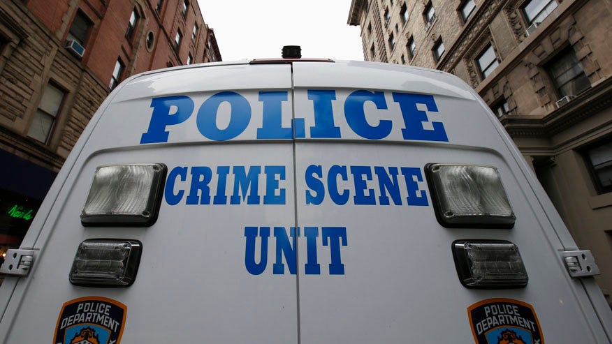5-year-old Bronx boy celebrating birthday hit in head by stray bullet ...