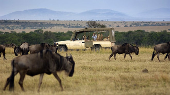 Lima destinasi safari Afrika yang wajib dikunjungi