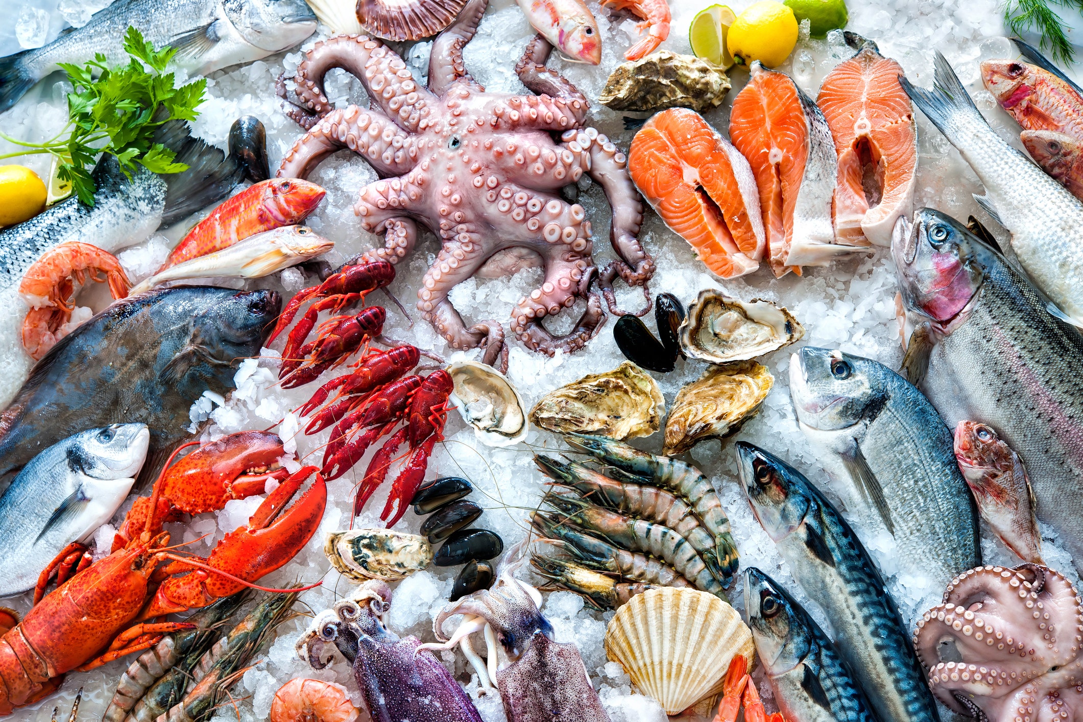 If you eat seafood you are eating thousands of pieces of plastic