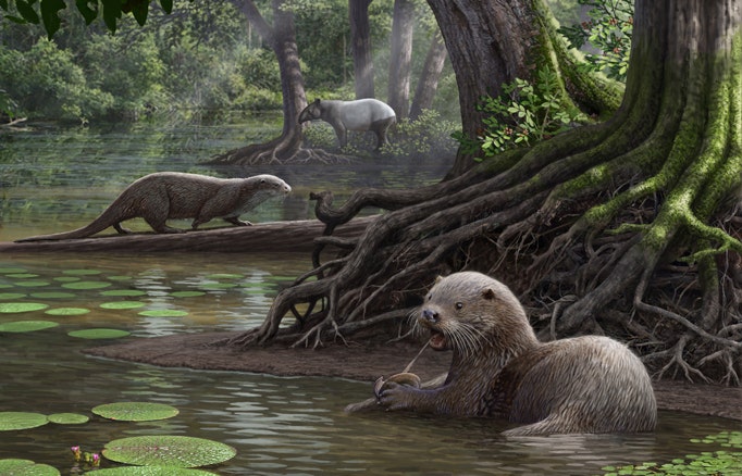 Stunning fossil discovery: Giant otter was size of wolf