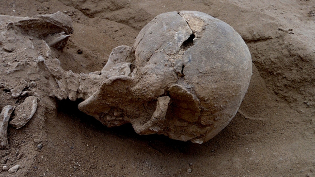 Remains of earliest known massacre victims uncovered in Kenya