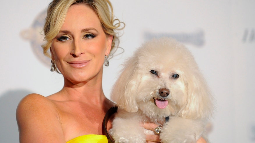 Sonja store morgan dog