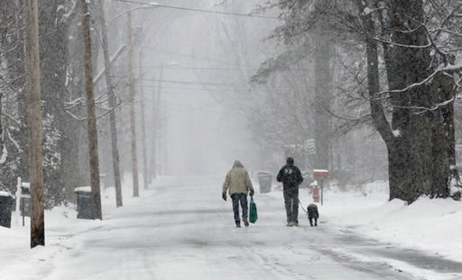 April snow showers fall on flowers in northern New England | Fox News
