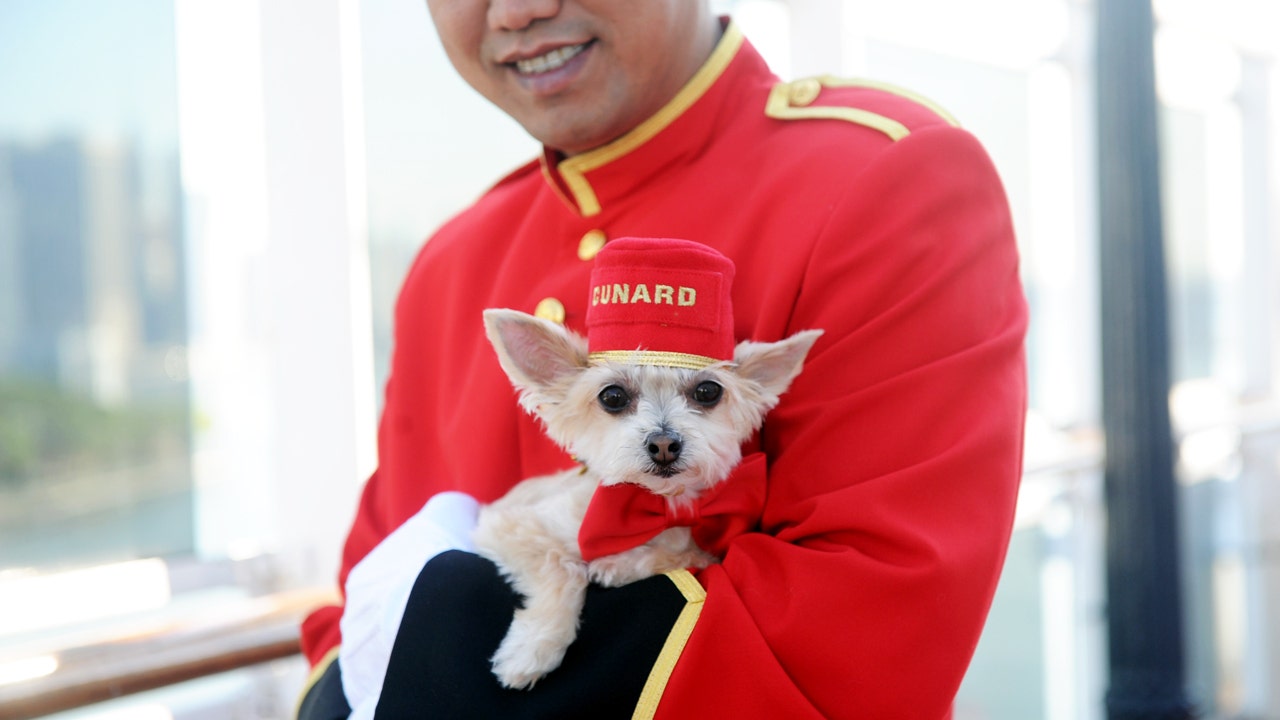 Need to travel with a dog? Try cruising this luxury liner Fox News