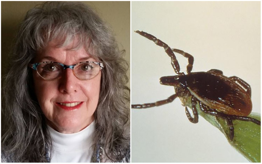 Arkansas woman develops 'deadly' meat allergy after tick bite Fox News