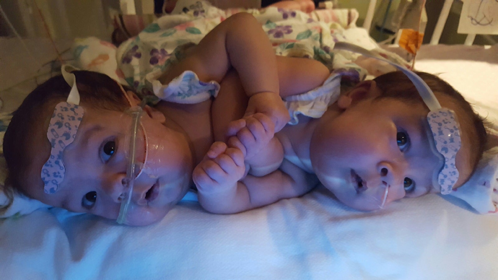 twins-1-1.jpg