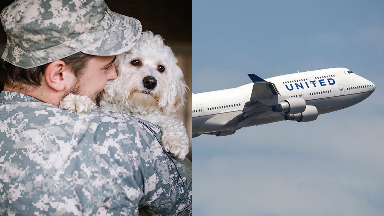 United makes shortterm exception to transportation of military pets