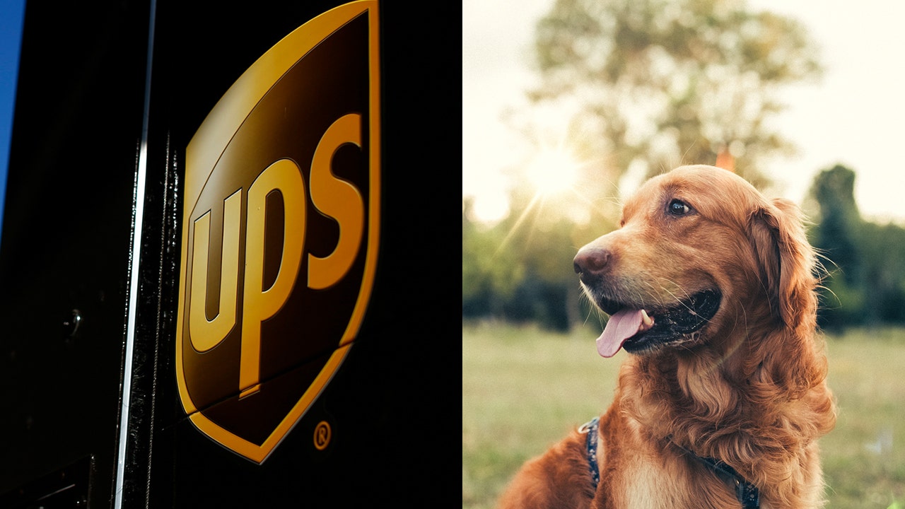can you ship a dog through ups