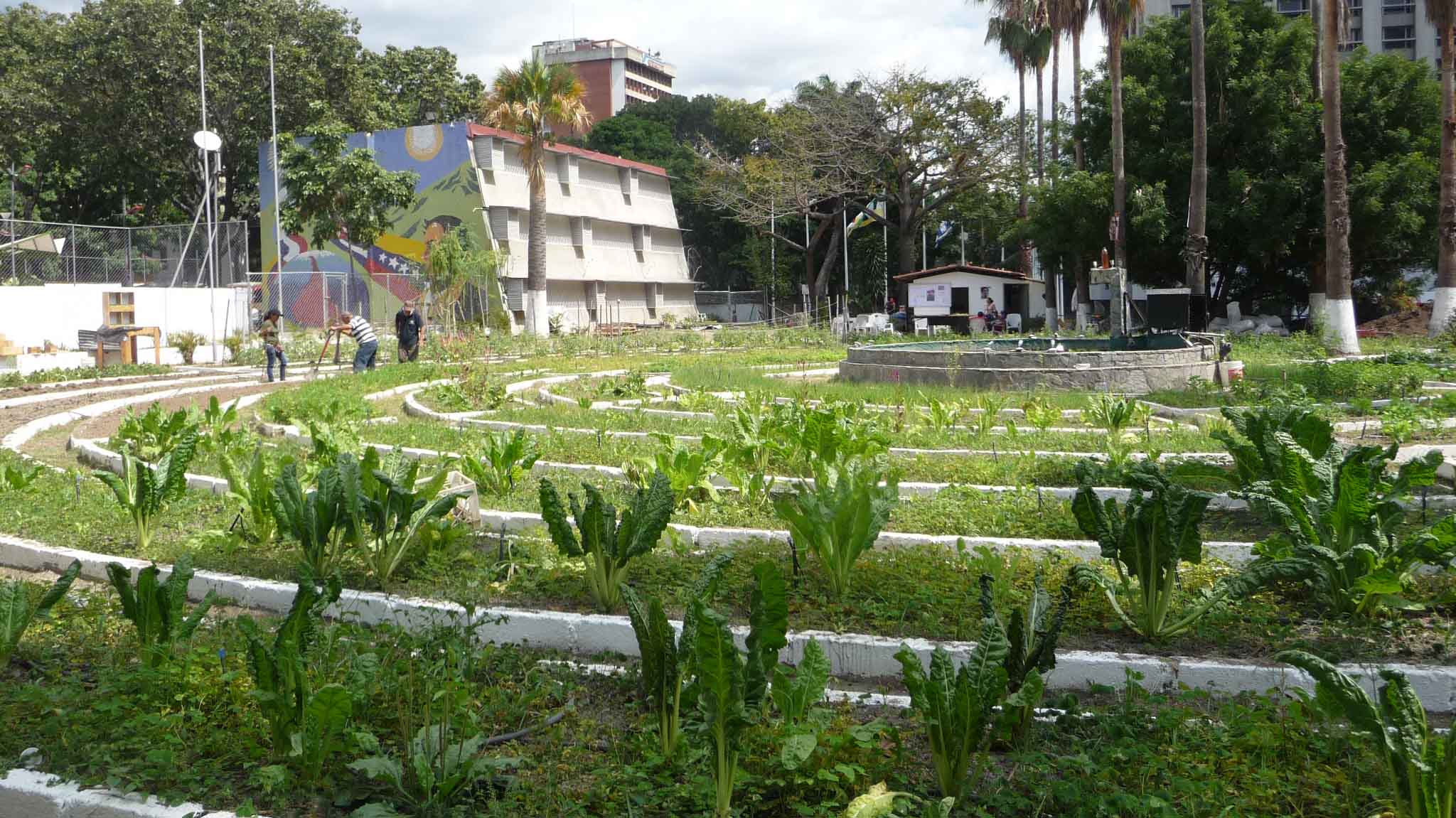Venezuela´s government launches Ministry of Urban Farming