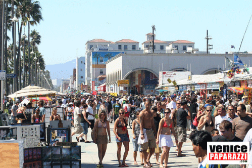 venicebeach