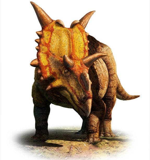 2 horned dinosaur