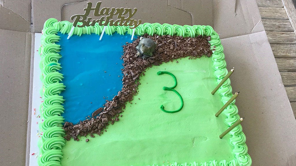 'Pathetic' frog birthday cake from supermarket leaves parents ...