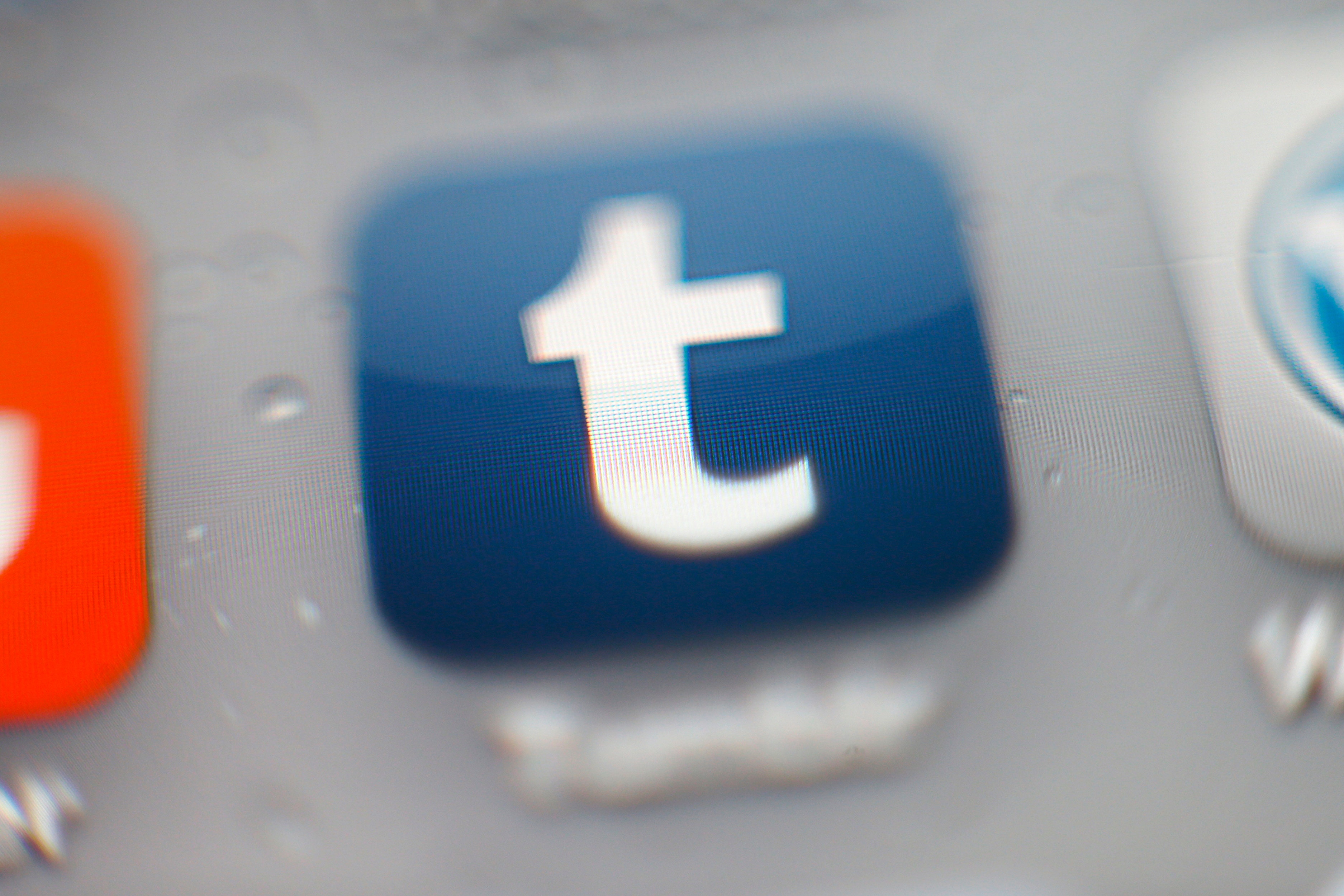 Tumblr pulled from Apple's iOS App Store after discovery of child  pornography images | Fox News