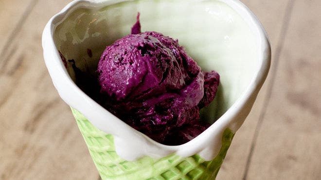 Blueberry Chocolate Chunk Frozen Yogurt