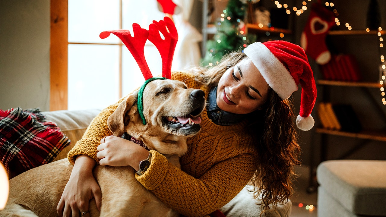 5 pet gifts for the good doggo in your life | Fox News