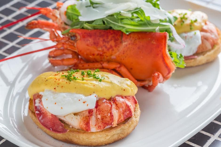 Lobster Benedict Fox News