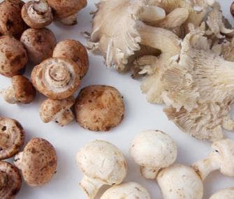 Sauteed Wild Mushrooms
