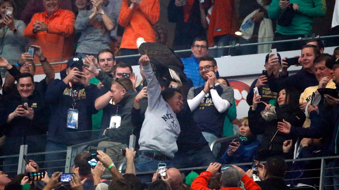 Bald eagle lands on arm of helpful Notre Dame fan at Cotton Bowl