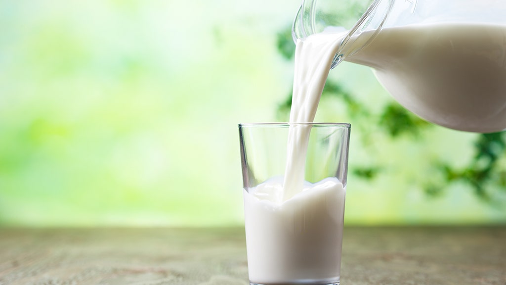 FOX NEWS: New York resident develops bacterial infection after drinking raw milk from Pennsylvania farm: officials