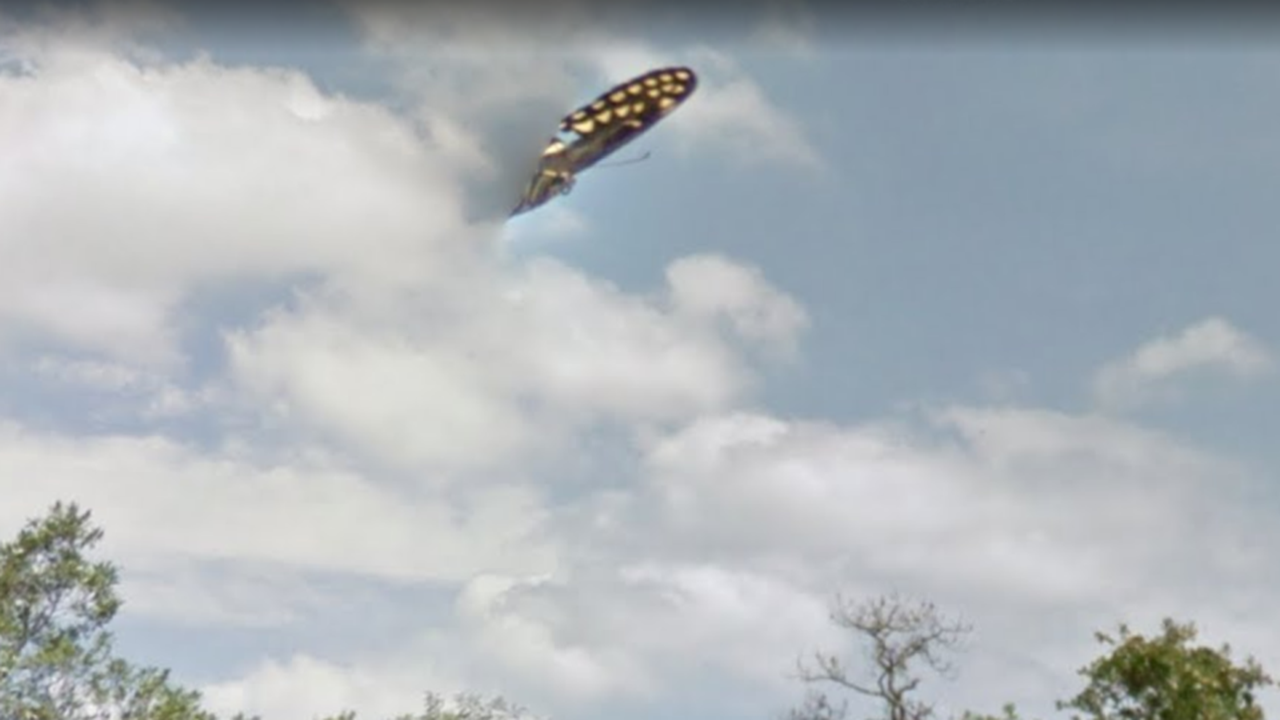 Google Maps user spots 'UFO' floating above Florida swamp just