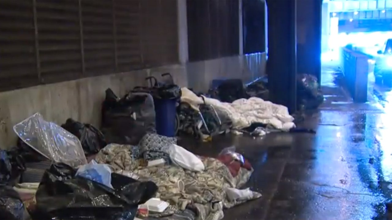 Homelessness In Chicago Here Are The Statistics Fox News   ChicagoCold5 