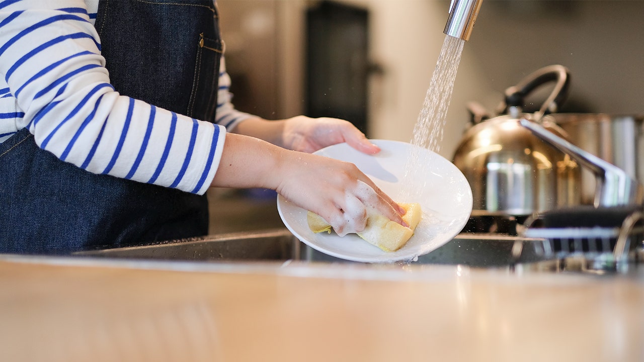 Why You Shouldn t Wash Dishes By Hand Fox News