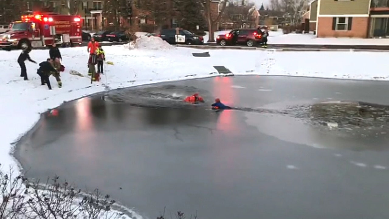 Dramatic rescue after boy, 11, falls through ice in Illinois pond seen