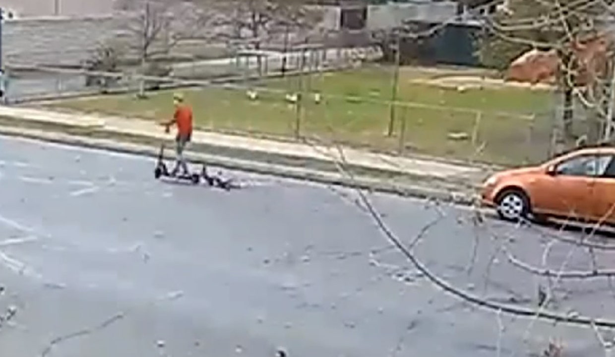 California woman seen dragging dog while on electric scooter Fox News