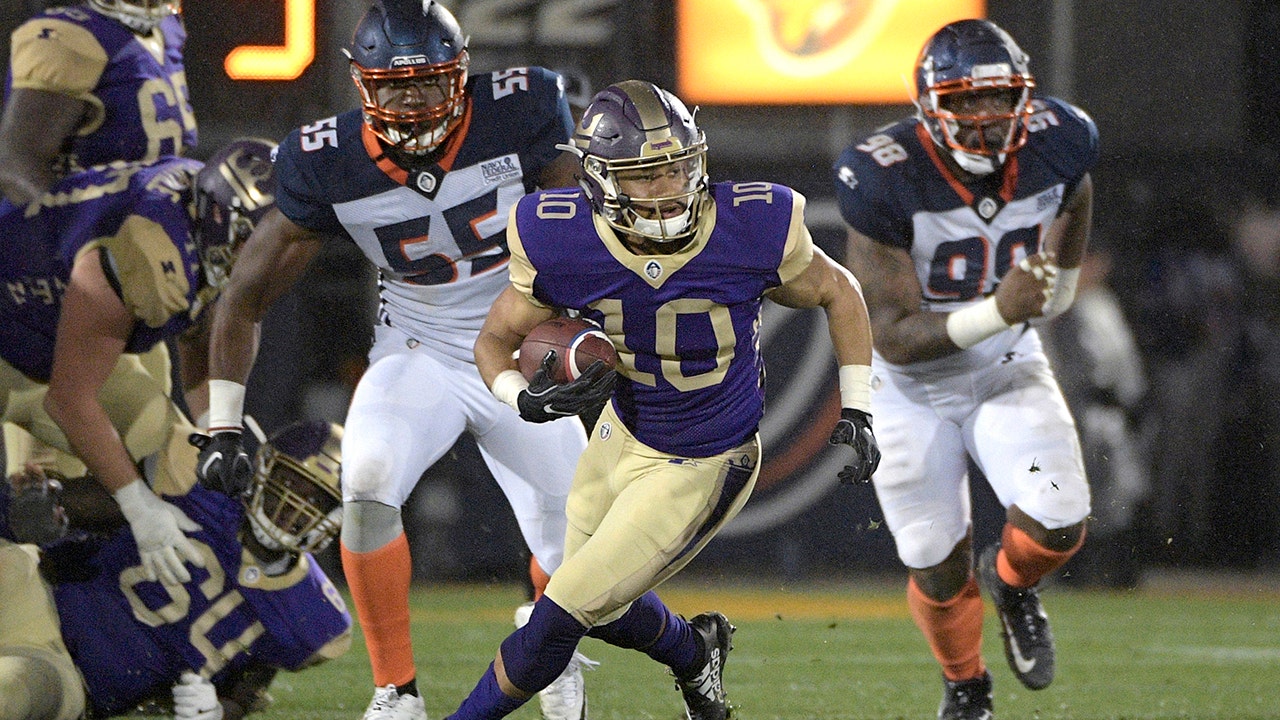 NHL team owner invests $250M in AAF after report upstart league needed cash injection