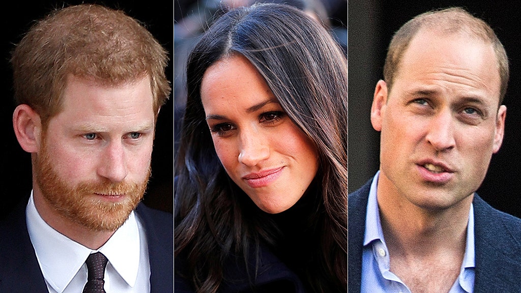 Prince William, Prince Harry had a ‘fierce and bitter’ argument over Meghan Markle after bullying claims: book