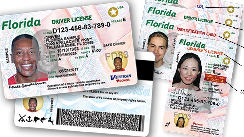 drivers license check fl