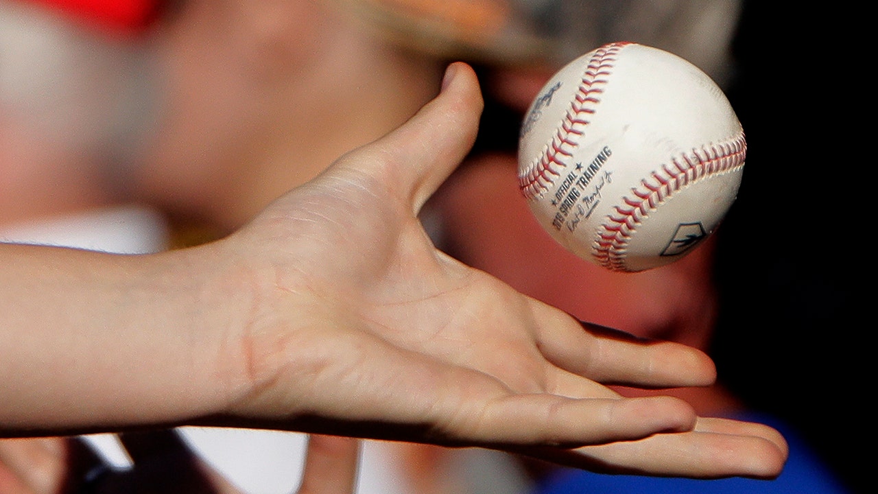 The 9 wackiest minor league baseball team names | Fox News