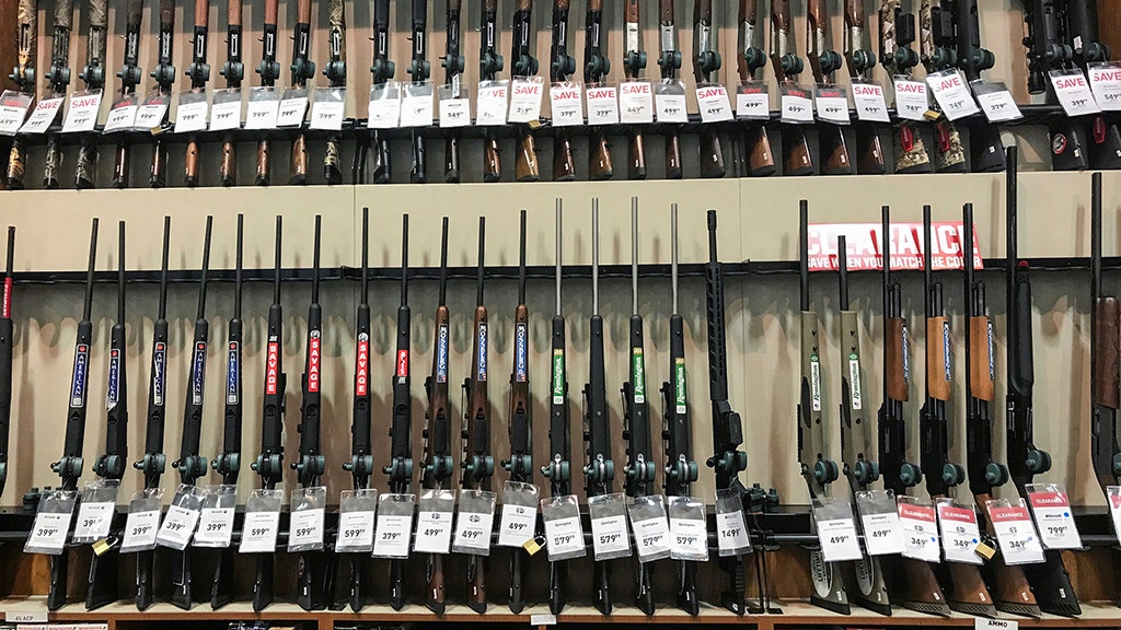 Dick's Sporting Goods reports $150 million in lost sales after halting  assault-weapons sales