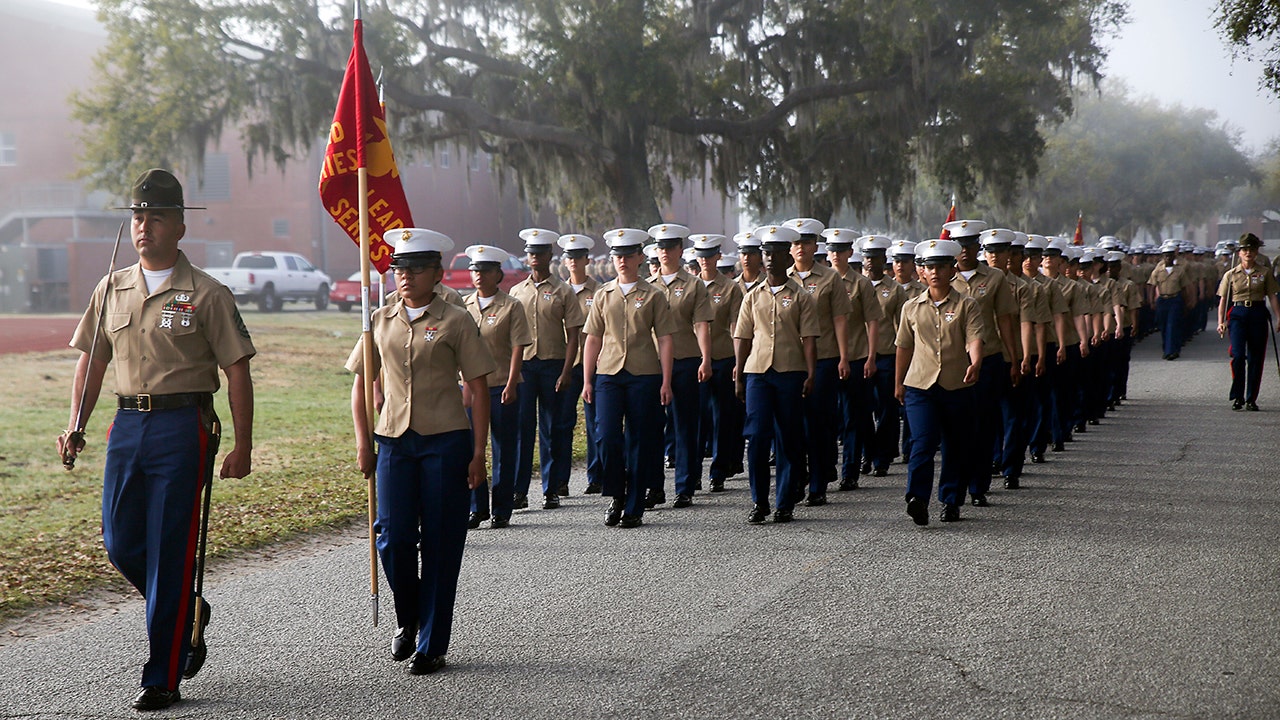 Aspiring Marine, 18, dies during initial strength test: report
