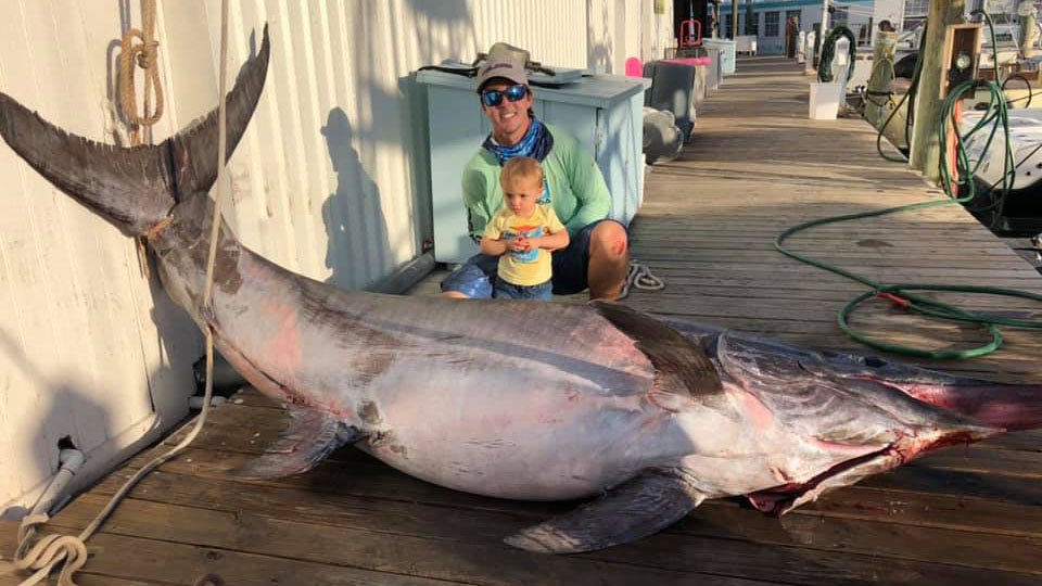 757pound swordfish caught near Florida Keys Fox News