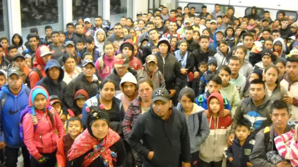 Border Patrol apprehends 'largest group' of illegal immigrants near US